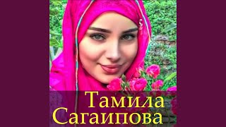 Caucasus Mountains - Tamila Sagaipova, Амина Ахмадова