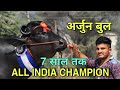 अर्जुन बुल कुंगड़ ऑल इंडिया चैंपियन बुल, Arjun Bull kungad All India Champion Bull for 7 years