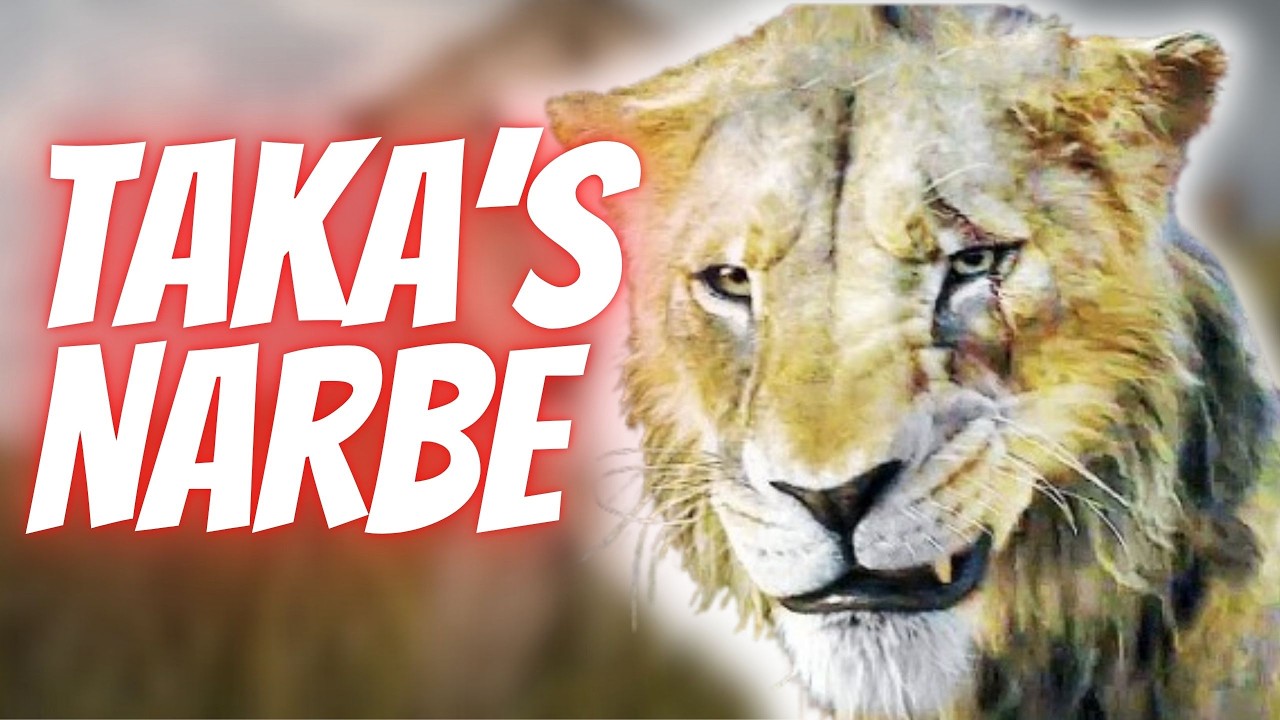 NEUE SZENEN zu Mufasa - Der König der Löwen |DerFlozi König der Löwen