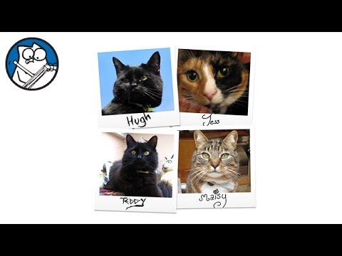 Simon's Real Cats - YouTube