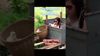 Cewek Cantik Berak Di Jamban