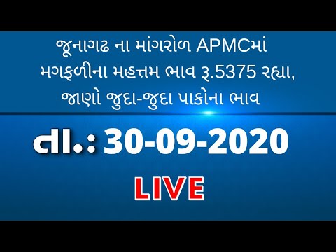 ગુજરાતની બધી જ APMCના તા.30-09-2020 દરેક પાકના ભાવ LIVE । TV9 NEWS