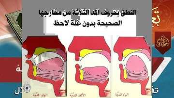 د3/ مد الحروف الدروس المبسطة لتعلم تلاوة القران الكريم