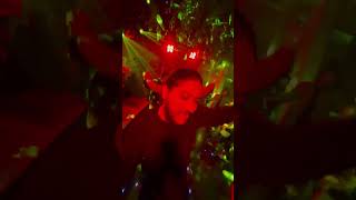 Dj Gaurav in the house #dance #jayshriramvsjaibholenathdjcompetition #housemusic #bhangra #djrajug