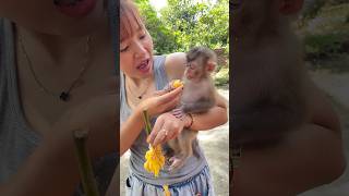 Mother saves the sweetest pieces of jackfruit for her baby to eat. #monkey
