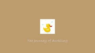 [무료브금] Title : 아기 오리의 모험 (the journey of duckling) 귀여운브금 / 브이로그브금 [무료음악/브금/Royalty Free Music]