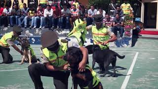 Members of Quito's K-9 force honored in dog retirement ceremony
