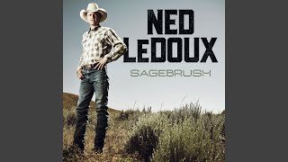 Video thumbnail of "Ned LeDoux - The Hawk"