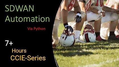 day02 sdwan python integration 2/5