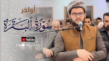 اواخر سورة البقرة بترتيل خاشع لا توصف / القارئ دلشاد احمد الكردي