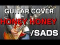 HONEY HONEY/SADS &quot;GUITAR COVER&quot;