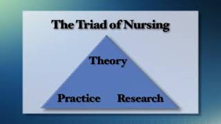 Nursing Theory: Application to Nursing Practice screenshot 1