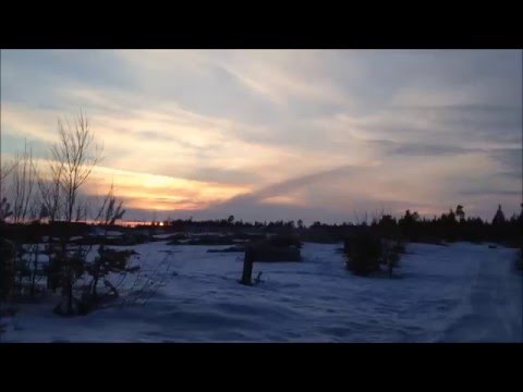 Примеры загрязнения окружающей среды