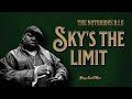 The Notorious B.I.G - Sky's the Limit | Blues Soul Vibe | AI Cover