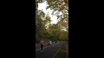 Climate week community running event highlights climate action