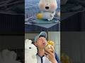 So cute rabbit #cute #funny