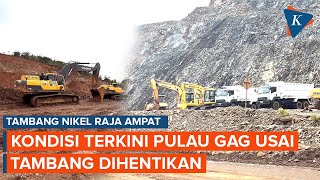 Kondisi Terkini Pulau Gag Usai Aktivitas Penambangan Nikel Dihentikan Sementara