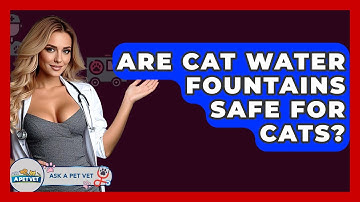 Are Cat Water Fountains Safe For Cats? - Ask A Pet Vet