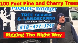 Topping And Rigging 100 Plus Foot Pine And Cherry Trees. Amazing Fast Felling Tree Machine (2019)