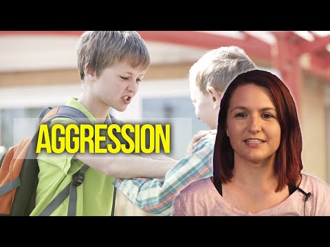 Aggression Reinforcers in Applied Behavior Analysis | BCBA Help