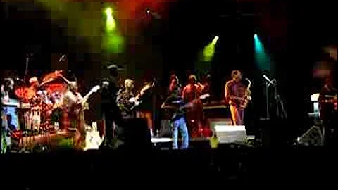 Seun Anikulapo Kuti & Egypt 80 Fela's Band live at Sziget Festival 13-08-2008