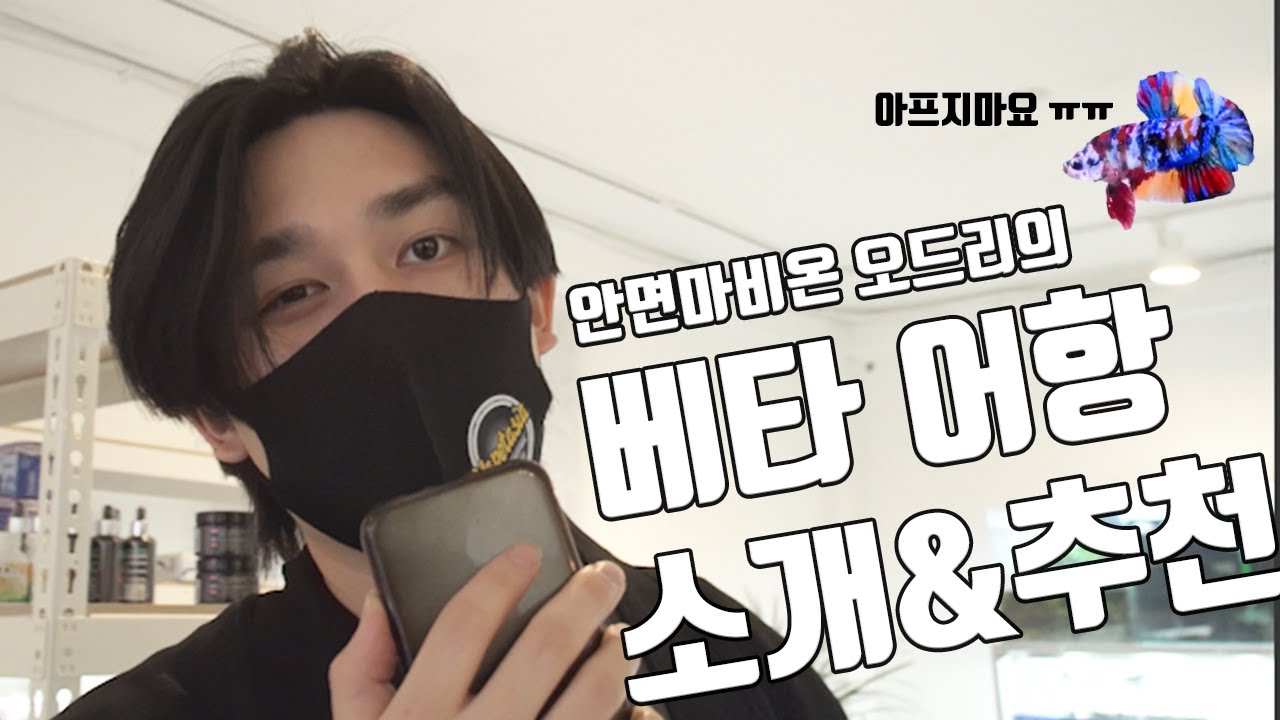 국내 최초 베타키우다 안면마비온 사장님의 베타 어항 소개&추천