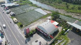 DFLY6832 苗栗大湖鄉金吉草莓園 2022