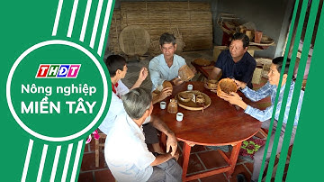 Toàn cảnh Nông nghiệp - 21/12/2024 | Nông nghiệp Miền Tây