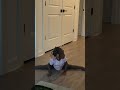 #funny #toddlers #family