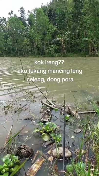 mending Ireng Iso mancing #mancingdiemdiem #yangpentingstrike