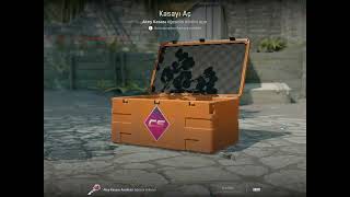 Cs Case Opening