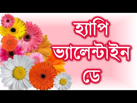 ভিডিও: আমি কিভাবে আমার ভ্যালেন্টাইন রোমান্টিক করতে পারি?