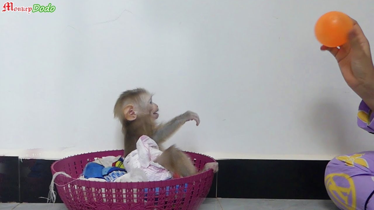 Queen Jenna Raise Hand Waiting To Catch Ball When Mom Throw YouTube