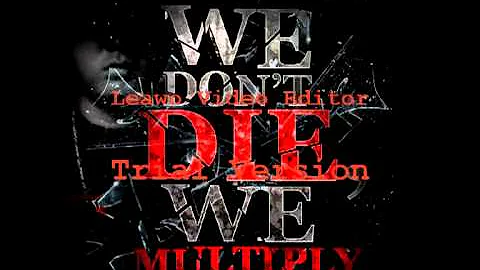 WDDWM - we don't die we multiply - 187 ( REMIX 2K13 )