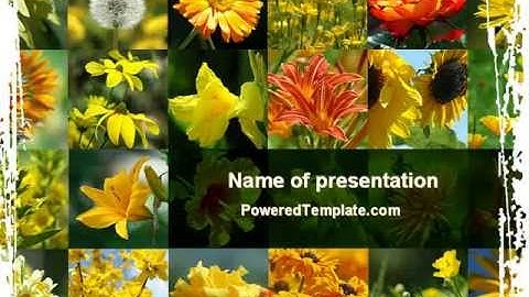 Flower Collage PowerPoint Template by PoweredTemplate.com