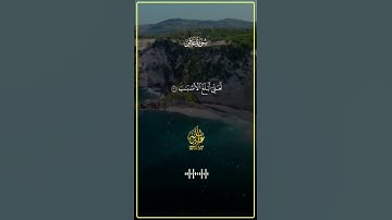 تلاوة تهز القلوب بصوت خاشع ونادر من القارئ عبدالله مصطفى ستعيش معها لحظات إيمانية لا تُنسى