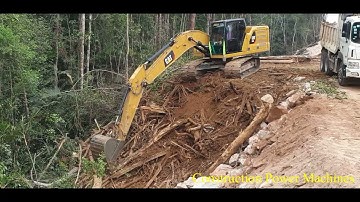Dump Truck unloading and Excavator Cat 320 working Spreading and Loading Tree