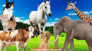 Wild Animal Sounds, Familiar Animals: Dog, Cow, Cat, Elephant, Horse  Animal moments