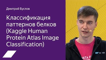 Kaggle Human Protein: классификация паттернов белков — Дмитрий Буслов