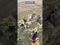 DESPERATE TO CATCH  MONSTER CATFISH IN A OLD LAKE #amazing #fishingnet #catfish #viral 🔥