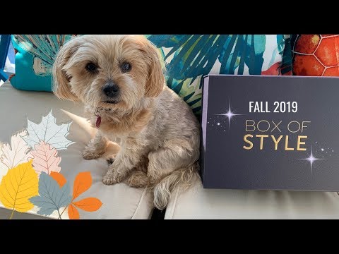 box-of-style---fall-2019:-unboxing-and-review...rich-pieces-that-will-carry-from-now-until-winter!