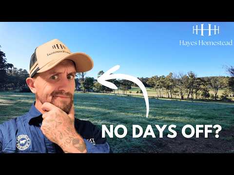 Farm life REALITY: What happens when you take days off from homsteading