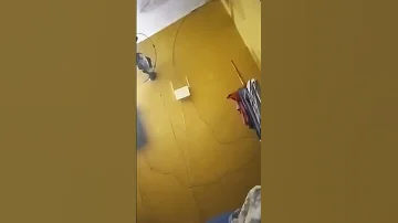 BRAVO DA PUTARIA 