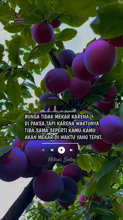 Tenang, Kamu Gak Sendiri