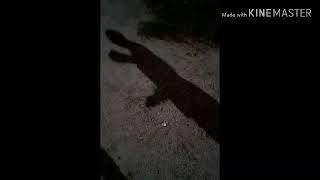 What Think In Shadows Prank Go Wrong Not My Videos