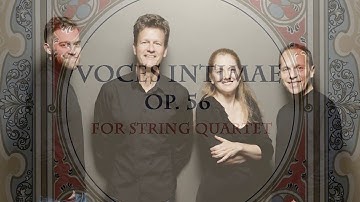 CCMS 3 18 18 Program   Video Promo No  2 Sibelius