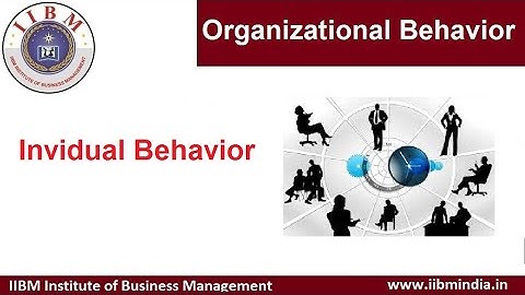 IIBM Institute | Organizational Behavior | Invidual Behavior