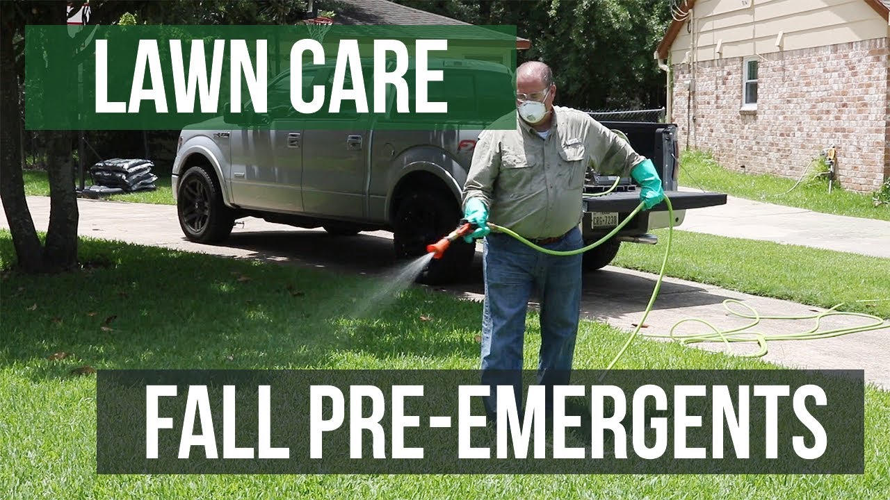 Fall Pre-Emergents: A Lawn Care Guide - YouTube