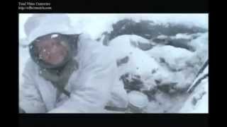 Whine Thunder Forum Whining In A Nutshell