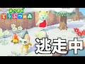 【あつ森】ハキハキタイプの「可愛い」男の子をゲットしに行くよぉ☆☆